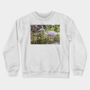 A lone Great Blue Heron Crewneck Sweatshirt